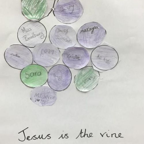 I am the vine and you are the branches