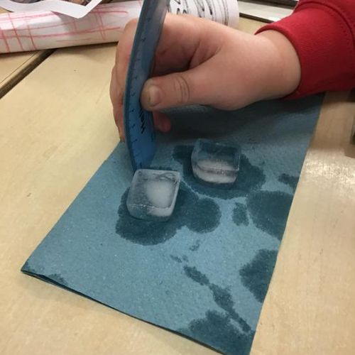 Investigating thermal insulators using ice cubes and bubble wrap this afternoon during our science lesson.