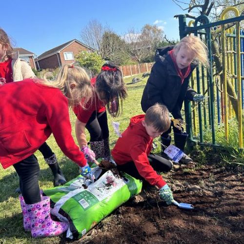 Year 2 and Year 3 Gardening Club