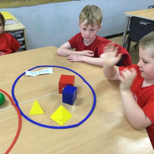 Sorting 3D shapes